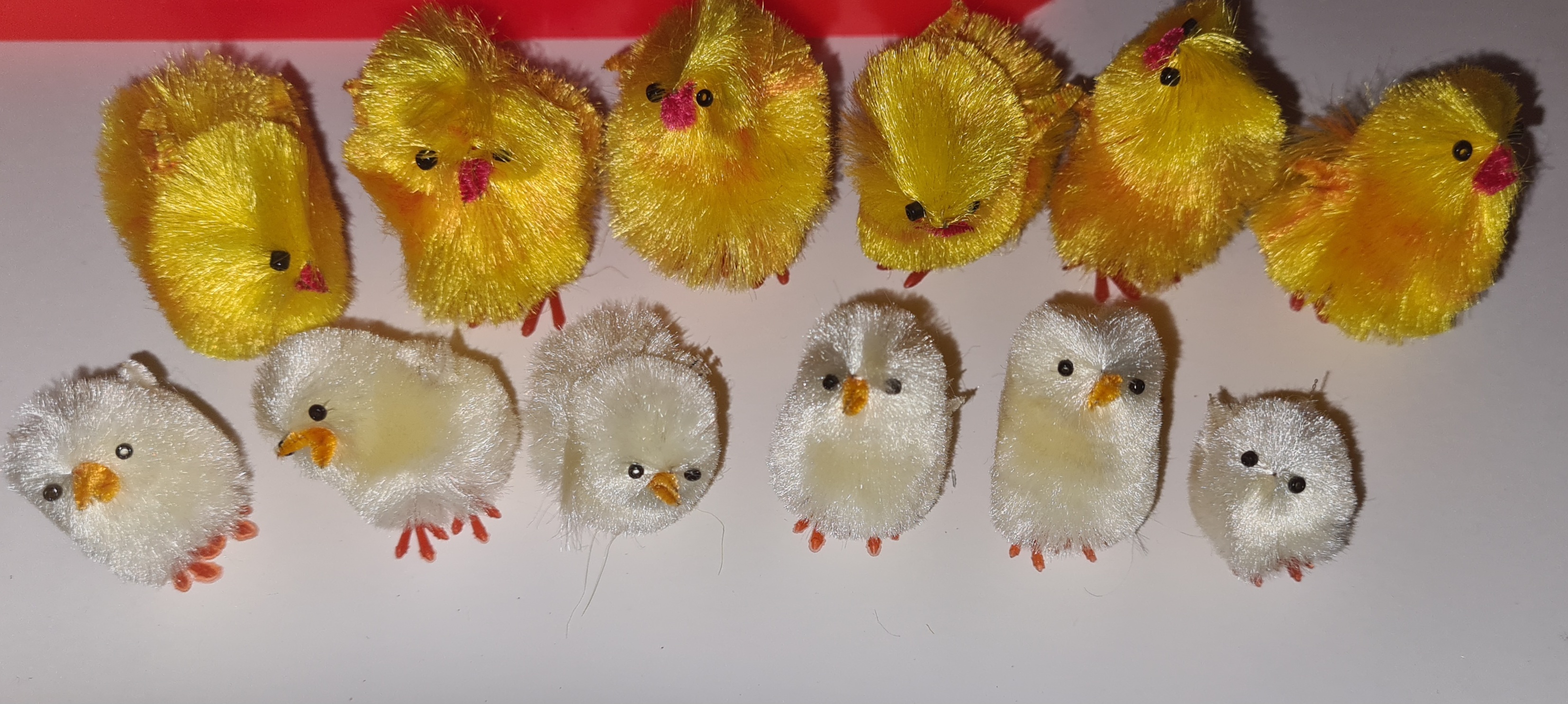 What should I do with them?