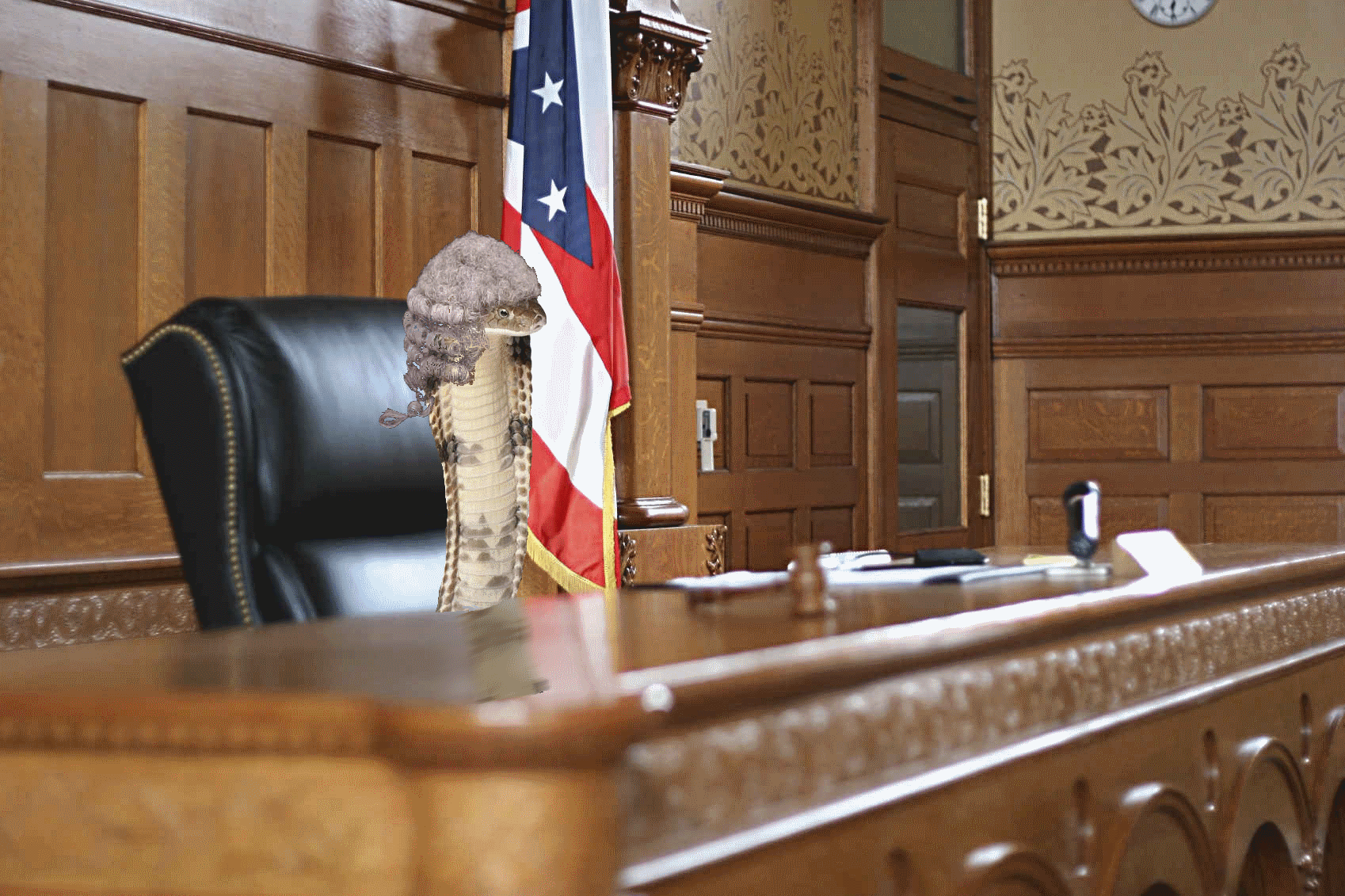 You have been found guilty of committing rudeness in the 1st degree. However the court understands that the severity of your mental illness is a mitigating factor in this case. Therefore I sentence you to indefinite detainment and forcible treatment in Esfores Maximum Security Hospital for the Criminally Insane.